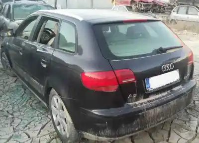 Scrapping Vehicle audi a3 (8p) 2.0 tdi ambiente (dpf) of the year 2005 powered bkd