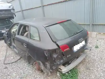 Scrapping Vehicle audi a3 (8p) 2.0 tdi ambiente (dpf) of the year 2005 powered bkd
