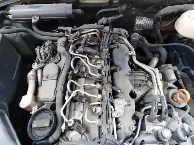 Veículo de Sucata audi a6 berlina (4f2) 2.0 tdi do ano 2011 alimentado caha