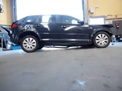 Scrapping Vehicle audi a3 (8p) 1.9 tdi ambiente of the year 2007 powered bls