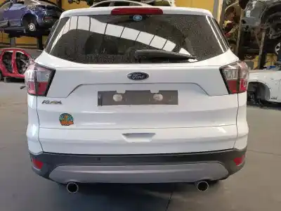 Scrapping Vehicle ford kuga (cbs) titanium of the year 2019 powered bnmc