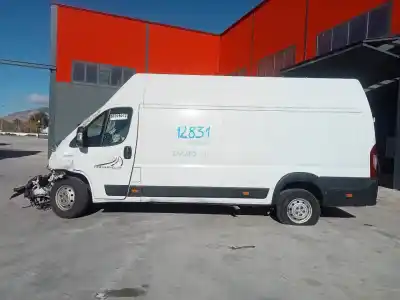 Vehículo de desguace FIAT DUCATO FURGÓN 35 (290)  del año 2020 con motor F1AGL411B