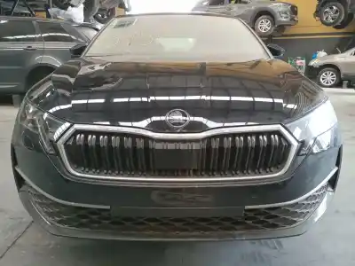Scrapping Vehicle skoda octavia lim. (nx3) vrs of the year 2024 powered dxdb