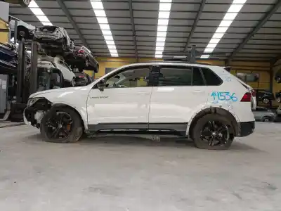 Verschrottungsfahrzeug VOLKSWAGEN TIGUAN (AD1, AX1)  des Jahres 2024 angetrieben DTSB