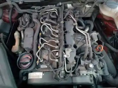 Veicolo di demolizione seat exeo st (3r5) (2009>) style dell'anno 2010 alimentato caga