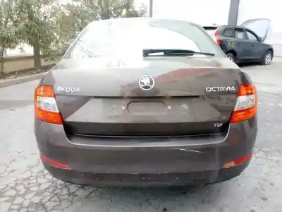 Veículo de Sucata skoda octavia lim. (5e3) ambition do ano 2014 alimentado clha