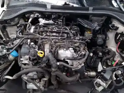 Scrapping Vehicle skoda                                              rapid                                                                                                                                                                                                                                                      active of the year 2016 powered cxma