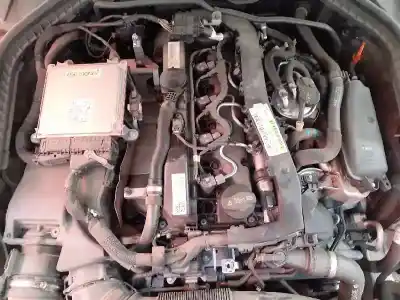 Veículo de Sucata mercedes                                           clase c (w205) lim.                                                                                                                                                                                                                                        c 220 cdi bluetec (205.004)                                                                                                                                                                                                                                do ano 2013 alimentado 651921