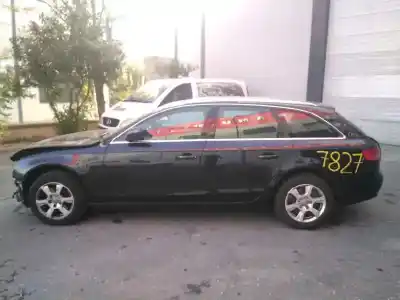 Veículo de Sucata AUDI A4 AVANT (8K5) (2008) Básico do ano 2008 alimentado CAGC