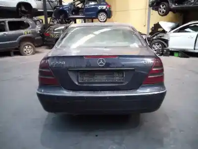 Veículo de Sucata mercedes-benz clase e (w211) berlina e 220 cdi (211.006) do ano 2005 alimentado 646961