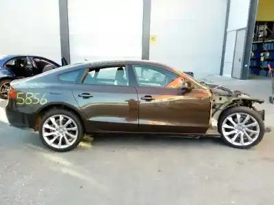 Scrapping Vehicle AUDI A5 SPORTBACK (8T) 3.0 TDI (150kW) of the year 2013 powered CLAB