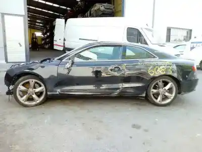 Здавання транспортного засобу AUDI A5 COUPE (8T) 3.0 V6 24V TDI року 2007 потужний CAPA