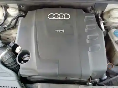 Veículo de Sucata audi a4 berlina (b8) básico do ano 2008 alimentado caga