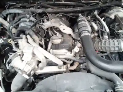 Veículo de Sucata nissan pathfinder (r51) 2.5 dci xe do ano 2007 alimentado yd25ddti