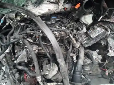 Veicolo di demolizione audi q3 (8u) 2.0 tdi (103kw) ambition dell'anno 2013 alimentato cffb