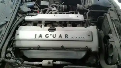 Scrapping Vehicle jaguar xj xj8 of the year 1997 powered 9jpfrb