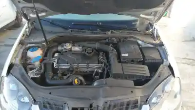 Scrapping Vehicle volkswagen golf v (1k1) 1.9 tdi of the year 2004 powered bkc