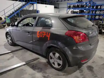 Veículo de Sucata kia ceed active 116 cv / 85 kw do ano 2011 alimentado d4fb