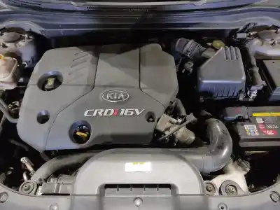 Sloopvoertuig kia ceed concept 116 cv / 85 kw van het jaar 2007 aangedreven d4fb