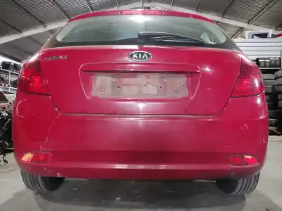 Veículo de Sucata kia ceed (ed) (2006->) 1.6 concept [1.6 ltr. - 66 kw crdi cat] do ano 2007 alimentado d4fbl