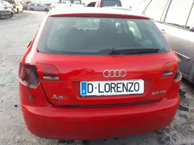 Veicolo di demolizione audi a3 (8p) 2.0 tdi dell'anno 2005 alimentato bkd