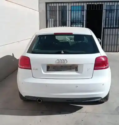 Veículo de Sucata audi a3 (8p1) 1.6 tdi do ano 2012 alimentado cayc