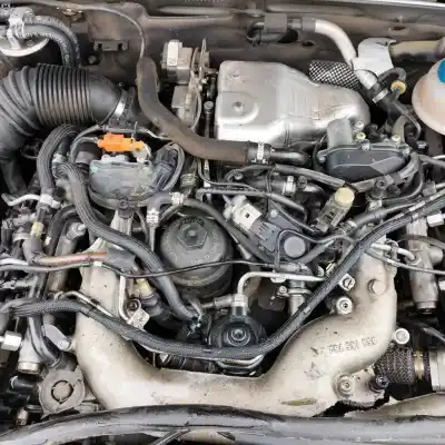 Scrapping Vehicle audi a6 berlina (4f2) 3.0 tdi quattro of the year 2008 powered cdya