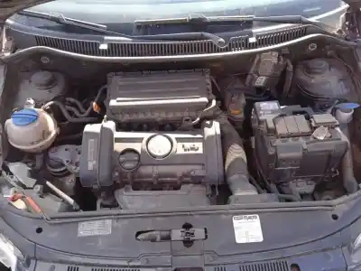 Veicolo di demolizione volkswagen polo (9n3) 1.4 16v dell'anno 2007 alimentato bud