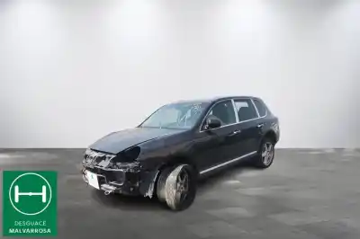 Veículo de Sucata porsche cayenne (typ 9pa) 4.5 v8 cat do ano 2003 alimentado m4800