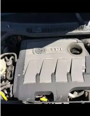 Scrapping Vehicle seat ibiza iv (6j5, 6p1) 1.6 tdi of the year 2014 powered cayb