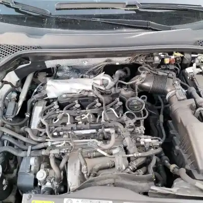 Scrapping Vehicle seat leon (5f1) 1.6 tdi of the year 2019 powered dgte