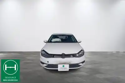 Veículo de Sucata volkswagen golf vii (5g1, bq1, be1, be2) 1.6 tdi do ano 2019 alimentado dgte