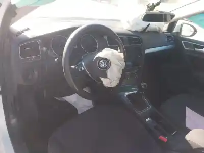 Veículo de Sucata volkswagen golf vii (5g1, bq1, be1, be2) 1.6 tdi do ano 2019 alimentado dgte