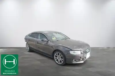 Veículo de Sucata audi a5 sportback (8ta) 2.0 tdi do ano 2010 alimentado caha
