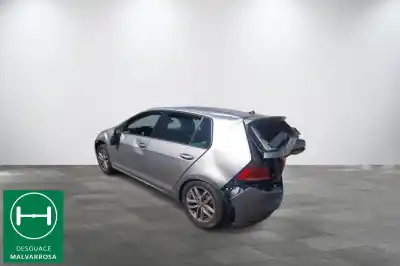 Veículo de Sucata volkswagen golf vii (5g1, bq1, be1, be2) 1.6 tdi do ano 2019 alimentado dgte