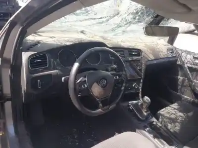 Veículo de Sucata volkswagen golf vii (5g1, bq1, be1, be2) 1.6 tdi do ano 2019 alimentado dgte