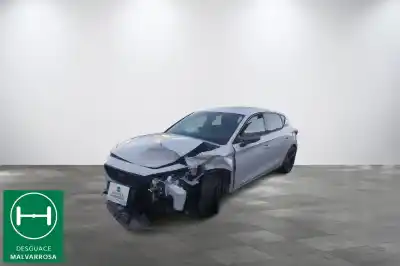 Scrapping Vehicle cupra leon (kl1) 1.5 tsi of the year 2023 powered dfya