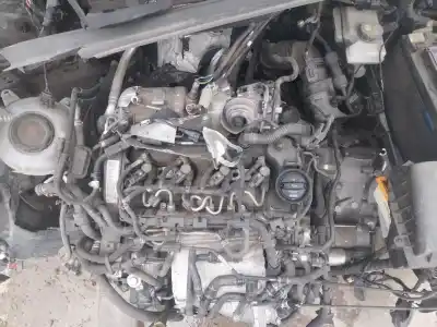 Veículo de Sucata audi a3 sportback (8va, 8vf) 1.6 tdi do ano 2019 alimentado dgte