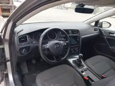 Verschrottungsfahrzeug volkswagen golf vii (5g1, bq1, be1, be2) 1.5 tsi des jahres 2019 angetrieben dpba