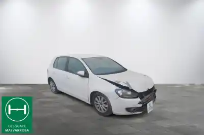 Sloopvoertuig VOLKSWAGEN GOLF VI (5K1) 1.6 TDI van het jaar 2009 aangedreven CAYC