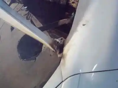 Veicolo di demolizione fiat brava (182) 1.9 jtd cat dell'anno 2000 alimentato 182b4000