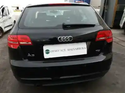 Veículo de Sucata audi a3 sportback (8p) 1.6 tdi do ano 2012 alimentado cayc