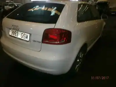 Scrapping Vehicle audi a3 (8p) 1.9 tdi ambiente of the year 2009 powered bls