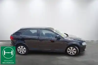 Scrapping Vehicle audi a3 (8p) 1.9 tdi ambiente of the year 2009 powered bls