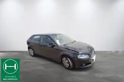 Scrapping Vehicle audi a3 (8p) 1.9 tdi ambiente of the year 2009 powered bls
