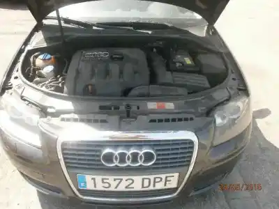 Veículo de Sucata audi a3 sportback (8p) 2.0 tdi ambiente do ano 2005 alimentado bkd