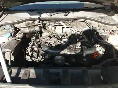 Scrapping Vehicle audi q7 (4l) 3.0 tdi of the year 2007 powered bug
