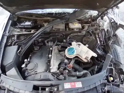 Veículo de Sucata audi a6 berlina (4f2) 2.0 tdi do ano 2008 alimentado bre