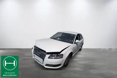 Veicolo di demolizione audi a3 (8p) 1.9 tdi ambiente dell'anno 2009 alimentato bls