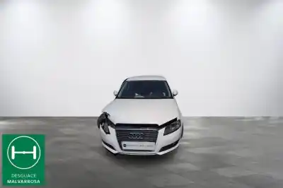 Veicolo di demolizione audi a3 (8p) 1.9 tdi ambiente dell'anno 2009 alimentato bls